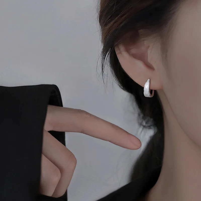 S925 Sterling Silver Earrings for Women Fashion of Hoop Earrings Circle Earring High Quality Earring 250729