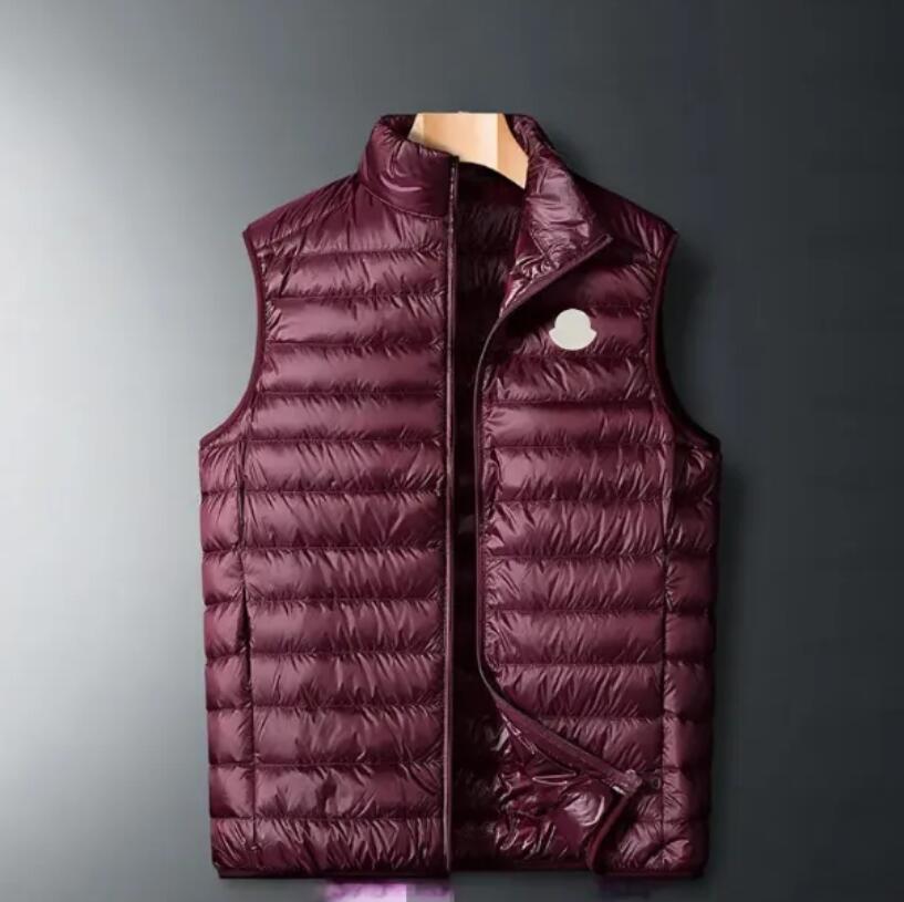 Gilets pour hommes Veste de créateur Manteau de luxe Mariage coréen Gilet en duvet d'oie Veste à capuche de style canadien