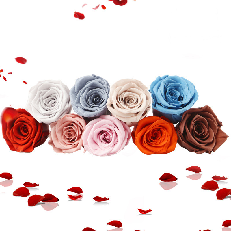 10 Heads B Grade 4cm Preserved Natural Forever Rose Heads Immortal Fresh Rose Eternal Flowers Last 3 to 5 Years for Wedding Table Home Office Ind-image-1088573999