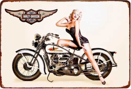 Vintage Davidson Metal Sign Platinum Blonde Pinup Wings 12x8M251114