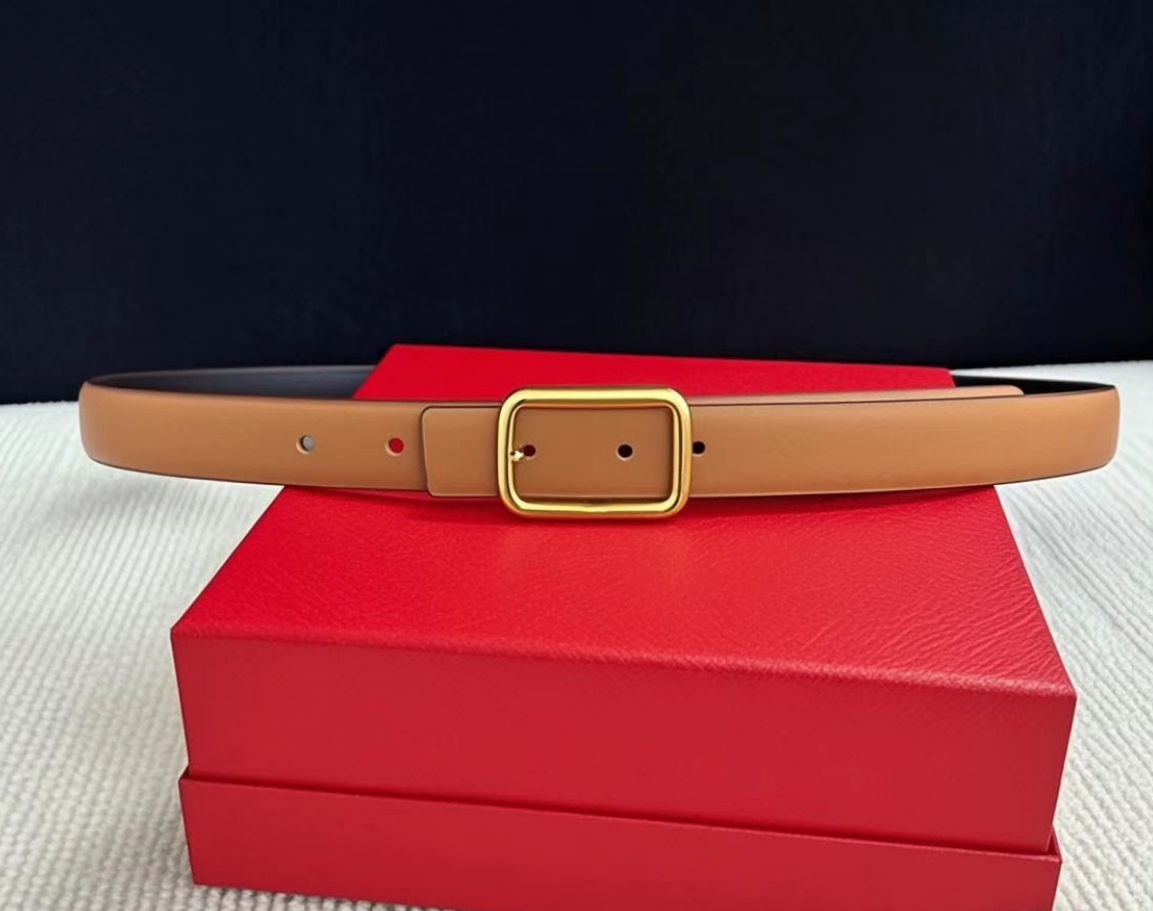 V Luxury Designer Belt for Women Genuine Leather Cowhide Width 2.5cm Men Designers Belts Bronze Buckle Silver Womens Waistband Cintura-image-828905105