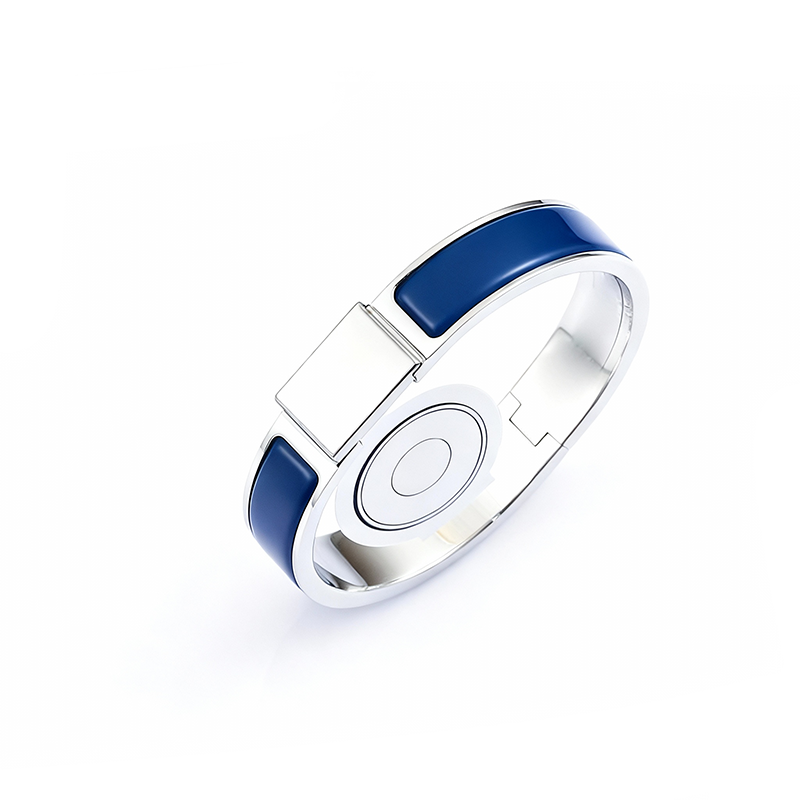 With Box 12MM Wide Bracelet Bangle Designer For Women High Quality Non Fading Tarnish Stainless Steel Silver Plated Enamel Jewelry Woman Unisex Chri