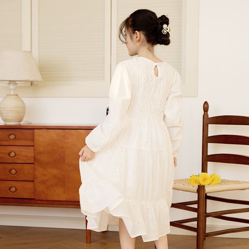 D812 Sophisticated Folkloric Fashion: A Beautiful Gown Highlighted by Earthy Motifs-image-1086624113