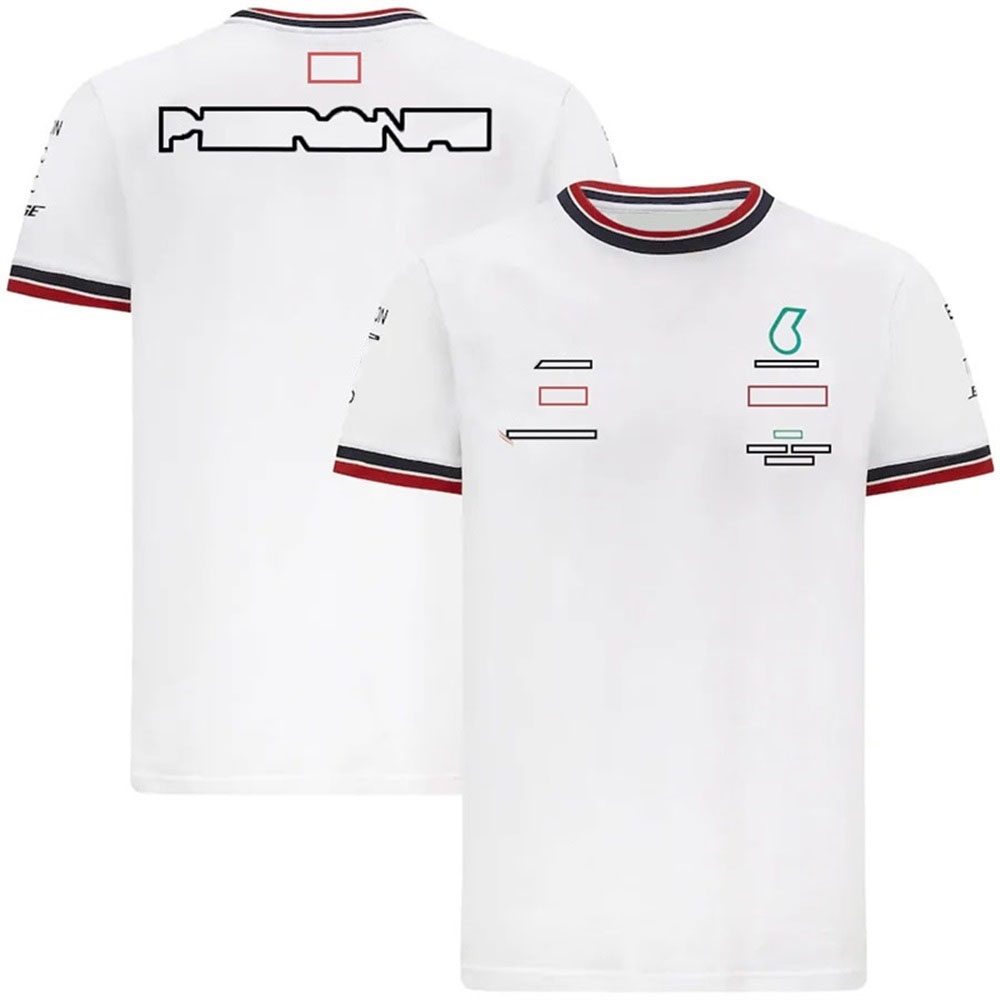 F1 Racing Team Round Neck T-shirt Formula One Car Logo Short-sleeved T-shirt Driver Fans Custom Men Women Summer Quick-dry Polo Shirt-image-714478077