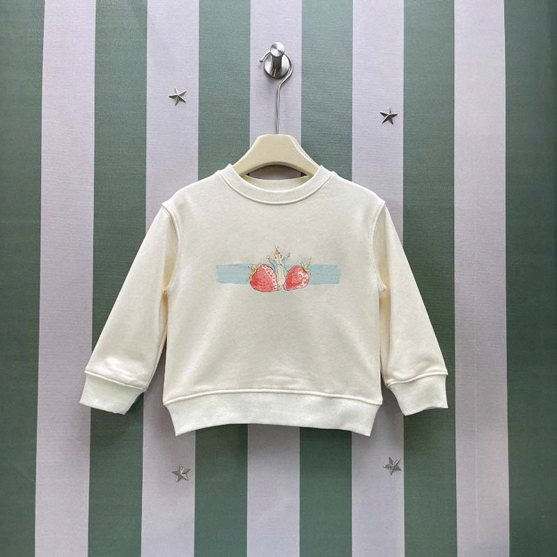 kids hoodies toddlers Sweatshirts sweaters children baby boys girls spring autumn Youth clothes pink red blue clothing hoody 35cP#-image-1045224845