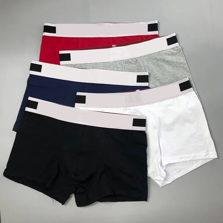 Men&#039;s Underwear Designer Underpants Fashion Brand Boxer 100% Cotton Casual Comfortable Shorts Breathable Underwear-image-1045488059