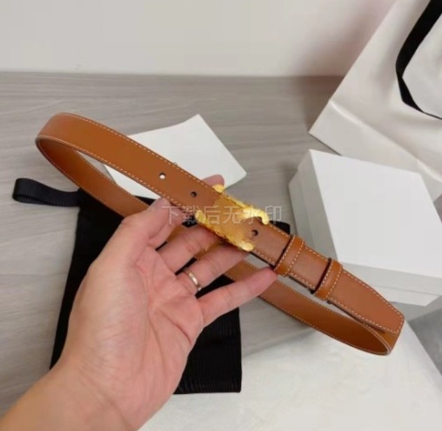 Luxury Designer Belt for Women Designer Belts Womans 3.0cm Width Ceinture Luxe Cintura Bronze ceIines Buckle Genuine Leather High Quality-image-952742672