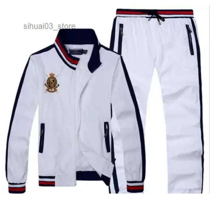 Wholesale Mens Clothing Mens Activewear Set - Lightweight Hoodies Sweatshirts Polo Jacket Pants Jogging Suits Tracksuits for Men L250604