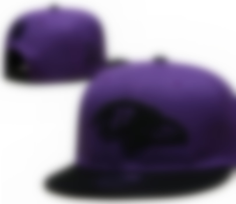 2025 Ravens Baseball SF 49 Unisex Fashion Cotton Super bowl Champions Ball Cap Baseball Snapback for Men Women Sun Hat Bone Embroidery Spring Cap Wh