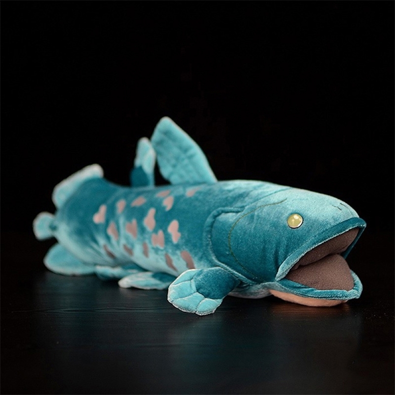 38CM High Quty Real Life Coelacanth Stuffed Toys Lifelike Sea Animals Bony Fish Plush Toy Soft Toys For Kids Children C251115-image-1084814705