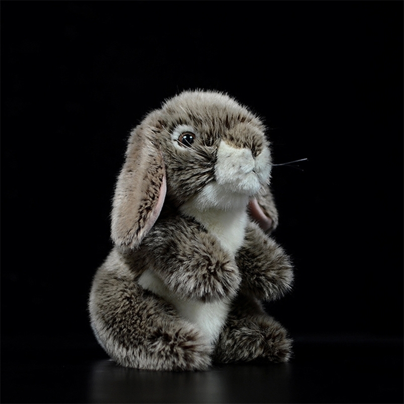 19cm Cute Holland Lop Eared Rabbit Dolls Simulation Lovely Brown Bunny Kawaii Animal Soft Stuffed Plush Toy Children Kids Gift C251115-image-1084814584