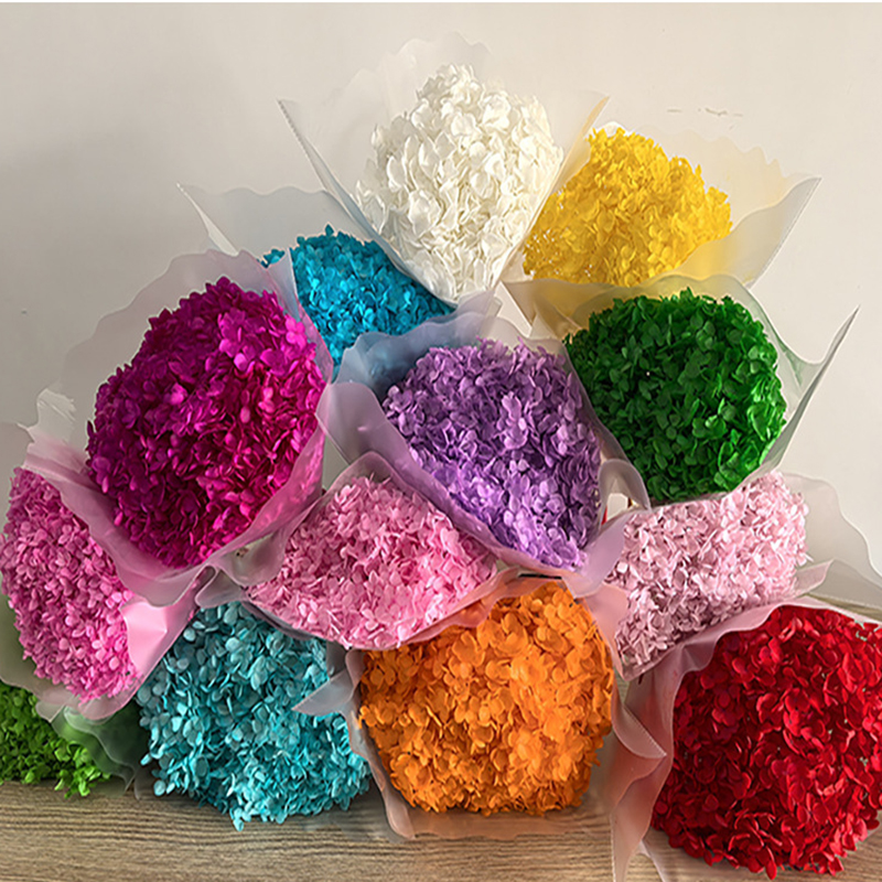 Preserved 20-25cm Head 1-2 Stems Anna Hydrangea Natural Flowers for Indoor Home Table Party Office Decoration Wedding Centerpiece Handmade DIY Fl-image-1088751507