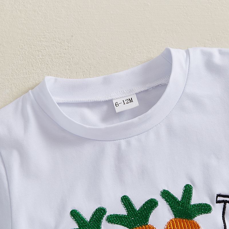 w496 Toddler Baby Boy Easter Rabbit Outfit Short Sleeve Bunny Carrot Smocked T-shirt Elastic Waist Shorts Summer Clothes-image-1079155142