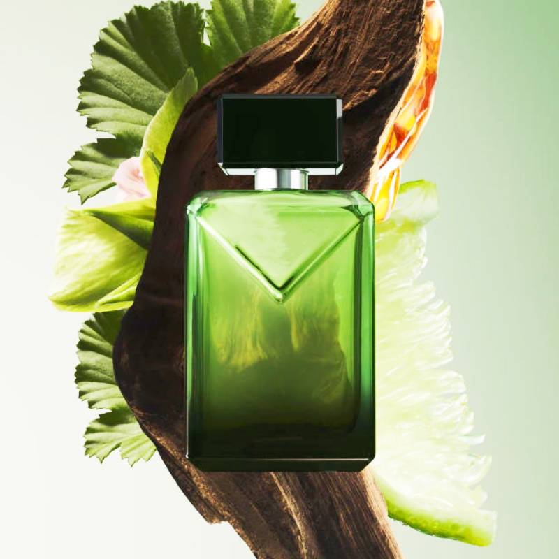 Dernière arrivée Dernière vente en gros de haute qualité ensemble de parfum avec boîte de costume kit parfum d'encens charmant parfum de longue d