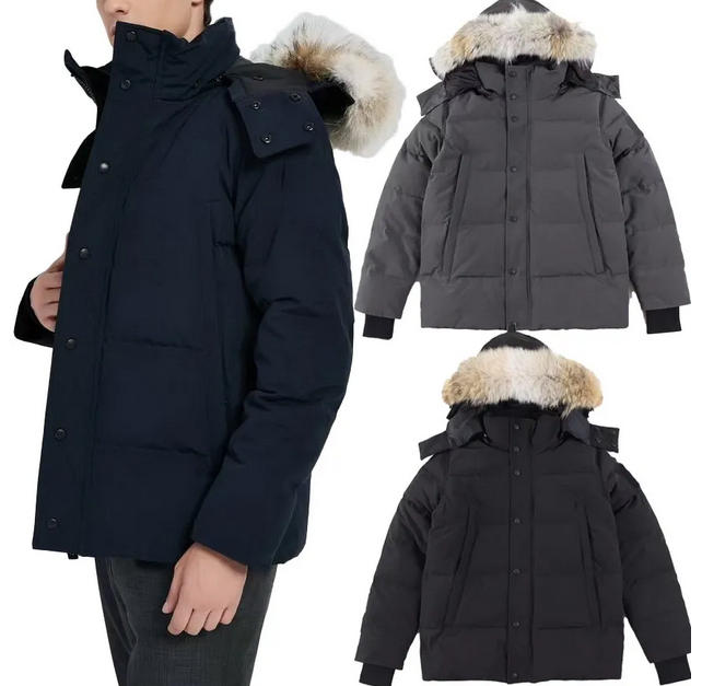 Winter Men gooses Down Jackets Fur Homme Outdoor Windbreaker Outerwear Hooded Fourrure Manteau Coat Hiver Parka Doudoune size XS-XXL-image-769041289