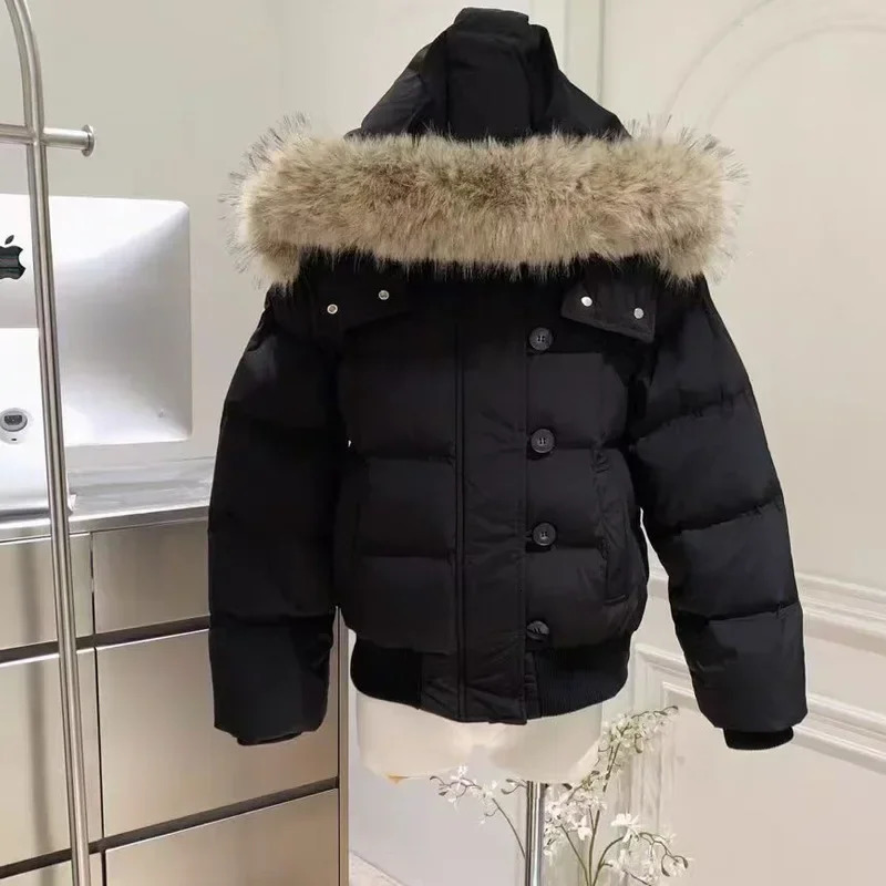 style Tibetan blue fur collar cotton jacket for womens winter season thick short down trend 251030
