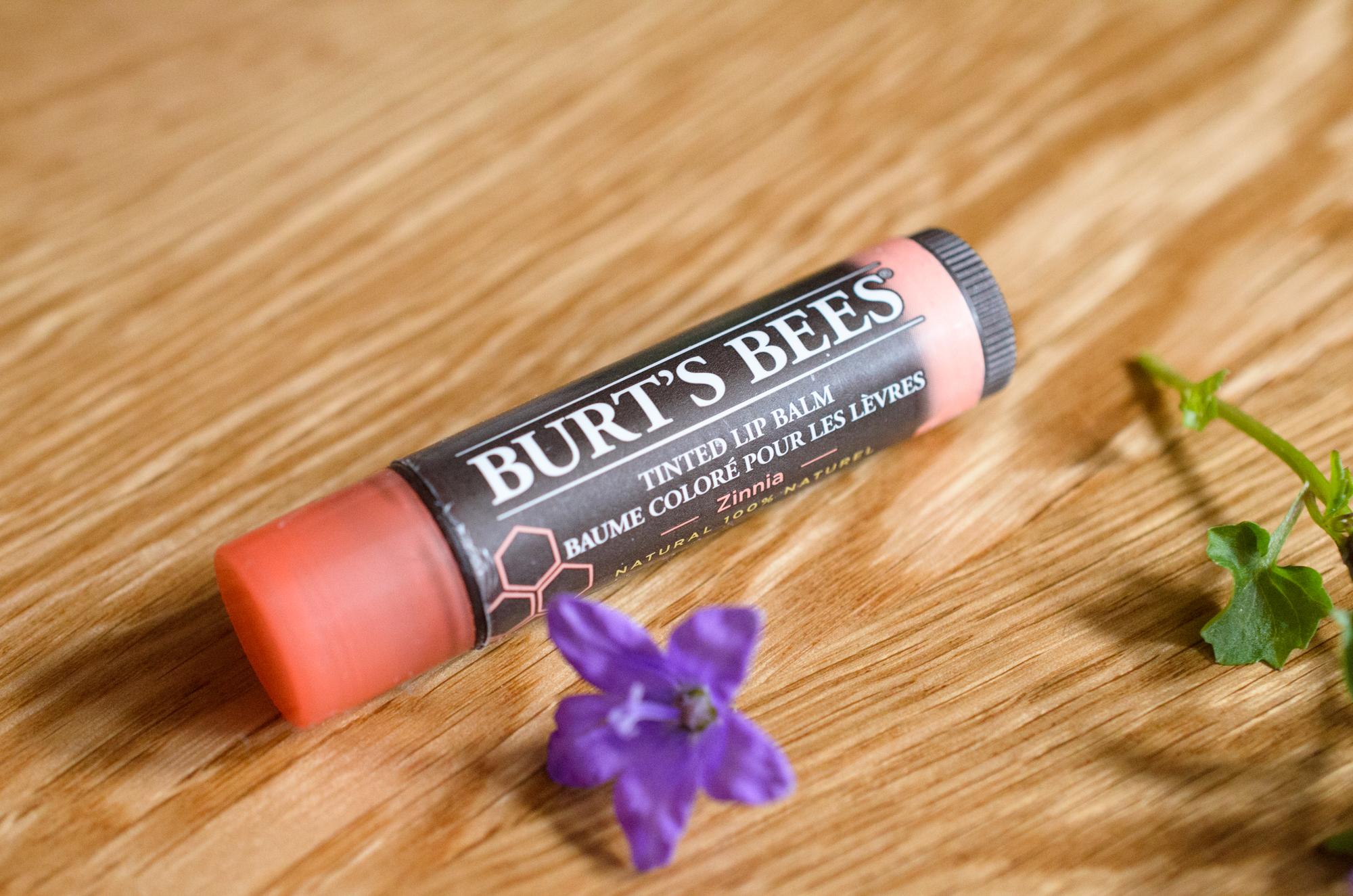 Why Burts Bees Lip Balm Is The Best for Your Lips