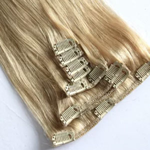 Clip In Hair Extensions