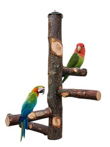 Bâton sur pied en tissu pour perroquet et oiseau, poteau en bois pour perruches, perchoirs, griffes de morsure, jouet de meulage, Cage à oiseaux, accessoires