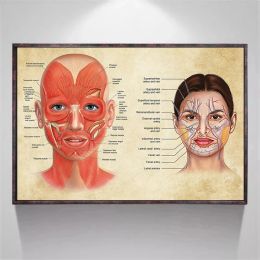 Face Anatomy Affiche Muscles faciaux et veines Skin Beauty Massage Plastic Médical Médical éducation Canvas Affiche Print Wall Decor