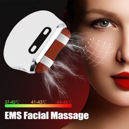 Masseur de visage EMS Lifting Guasha Bianstone Gua Sha Grattoir Microcurrent Chauffage Vibration Massage V Minceur 230612