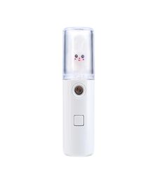 Facial Steamer nano spray watersupplement popvorm01236150045