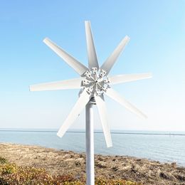 Factory goedkope 3KW windenergiegenerator voor huis 3000W 12V 24V 48V gratis power turbine horizontale windmolen met mppt -controller