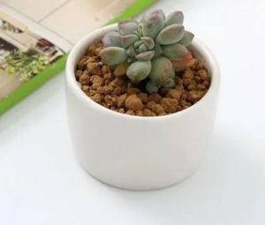 Outlet d'usine Pots de bonsaï en céramique Mini Mini Porcelaine de porcelaine Porcelaine Florions Fournisseurs pour l'ensemencement de plaies de pépinière de maison intérieure succulente 240pcs 240pcs