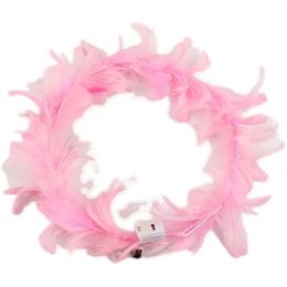 Factory Party Favor Light Up Headband Led Feather Headbands Luminous Festival Haar stuk feestaccessoires voor vrouwen en meisjes KD1