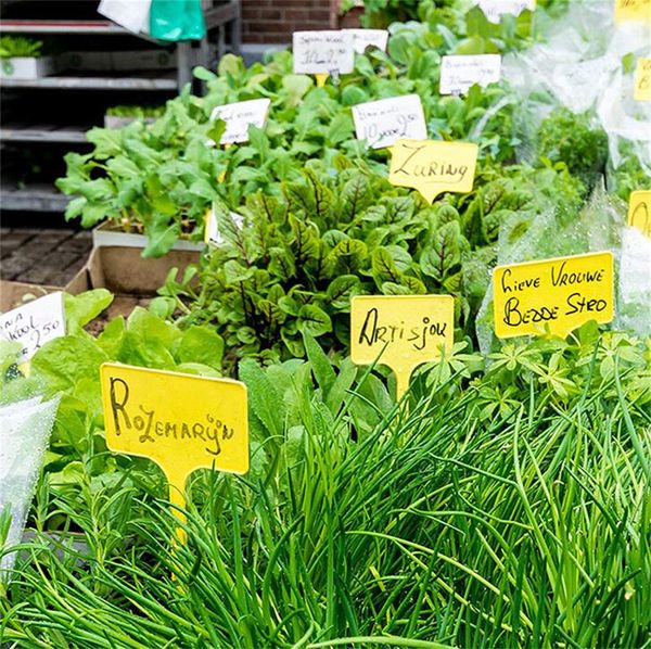 Fábrica Patio Césped Jardín Suministros Etiquetas de plantas de plástico grandes Etiquetas de marcadores de jardín de vivero duraderos tipo T para exteriores Hierbas de interior Flores Vegetales Plantas en maceta