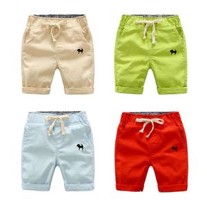 Ventes d'usine garçons filles shorts décontractés été cinq points pantalons vêtements pour tout-petits vêtements pour enfants en gros broderie chien 210308