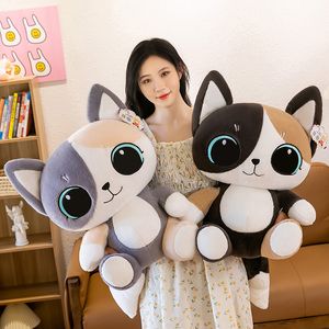 Usine en gros dessin animé chat en peluche oreiller poupée créative Linglong chat poupée enfants cadeau d'anniversaire gratuit UPS/DHL