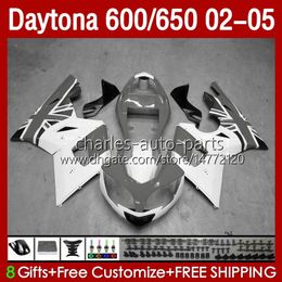 Stroomlijnkappen Kit Voor Daytona 650 600 CC 02 03 04 05 Carrosserie Grijs wit 132No.81 Motorkap Daytona 600 Daytona650 2002 2003 2004 2005 Daytona600 02-05 ABS Motorcycle Body