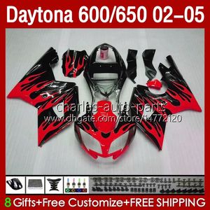 Kit de carénages pour Daytona 650 600 CC 02 03 04 05 Carrosserie 132No.67 Capot Flammes rouges Daytona 600 Daytona650 2002 2003 2004 2005 Daytona600 02-05 Corps de moto ABS