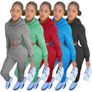 Automne hiver femmes jogging costume grande taille tenues de couleur unie survêtements à manches longues capuche à capuche + pantalon deux pièces ensemble survêtements décontractés 4356