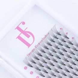 False wimpers 0,07 mm Premade Volume Fans 3D 5D 6D 8D 10D Individuele Lashes Extension vooraf gemaakte fan wimper