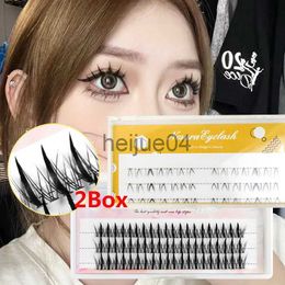 Valse wimpers 2 Box Lash Clusters Lagere valse wimpers Individuele wimpers Cos Anime Lashes Manga Lashes Valse wimpers Wimperstrengen NIEUW x0802