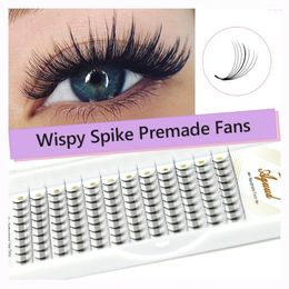 Valse wimpers aguud pieky premade fans punty basis cluster piek Rusland volume wimper extensie individuele wimpers hybride faux nerts lash
