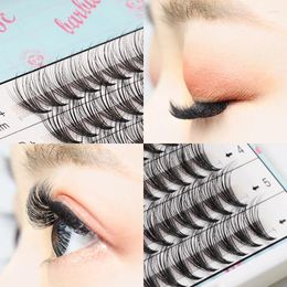 Faux de cils Lucky Lash Fans Fans pointuy Base 10D / 20D / 30D / 40D RUSSIE Volume Extension de cils individuels Lashes Faux Mink