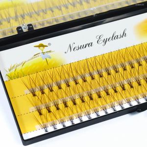 Faux de cils naturels de vison naturel Extension de cils individuels 10d MAKEUP CLUSTER TOOL LASHES GROS EN CHOLES 1BOX 60 BUNCHE