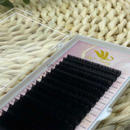 Poseo de pestañas nuevas Proceso de producción de las pestras de la más alta calidad Extensión de pestañas clásicas Mejor fibra de fibra de fibra de fibra de pestañas falsas para mujeres HKD230817