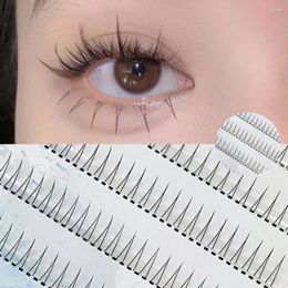 Valse Wimpers Zachte Wimpers Cluster Bundels Tapered End Herbruikbare Individuele Wimpers Extensions DIY Koreaanse Make-Up Voor Vrouwen