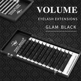 Valse wimpers Winky Beauty Persoonlijke wimperverlenging B/C/CC/D Artificial Mink Cilias Soft Eyelash Extension 3d Russian Curling Eyelash Makeup Q240425