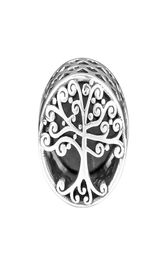 Breloques racines d'arbre généalogique authentique en argent sterling 925, convient au bracelet de style original 797590 H88499924