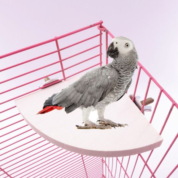 Birgin d'oiseau en forme de ventilateur Président en bois Rack Rack Bird Cage Accessoires Perch pour petit animal Chinchilla Squirrel Hamster Stand Board