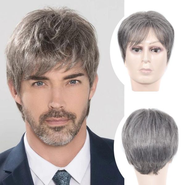 Fancy Hair Short Silver Grey Peluca de pelo sintético para hombre Fleeciness Pelucas realistas