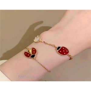 Fanjia Cky Sterling Sier Seven Star Dybug Five Flower Armband Pted Gold High Fashion Clover Female9968216