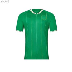 Fans Tops Soccer Jerseys / 24 Accueil Irlande Kit domicile DOHERTY DUFFY Euro National Team BRADY KEANE McCABE Maillot de football enfants uniformeH240312