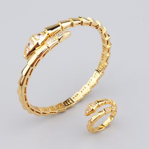 Fashion 18K Gold Fritillaria Snake Silver Bangle Bracelets For Women Daughter Ring Set Unisexe Bijoux Designer Femmes Jewlery Party Gift Wedding Cool