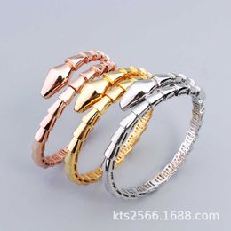 Modeaccessoires Fengqi Snake Bracelet Ring Set Glad en eenvoudig Snake Bone Women's Favorite Jewelry Network Populaire stijl